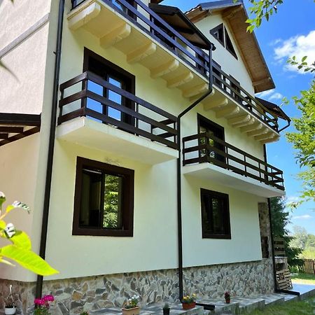 Cabana Din Padure 호텔 포룸바쿠 데 수스 외부 사진